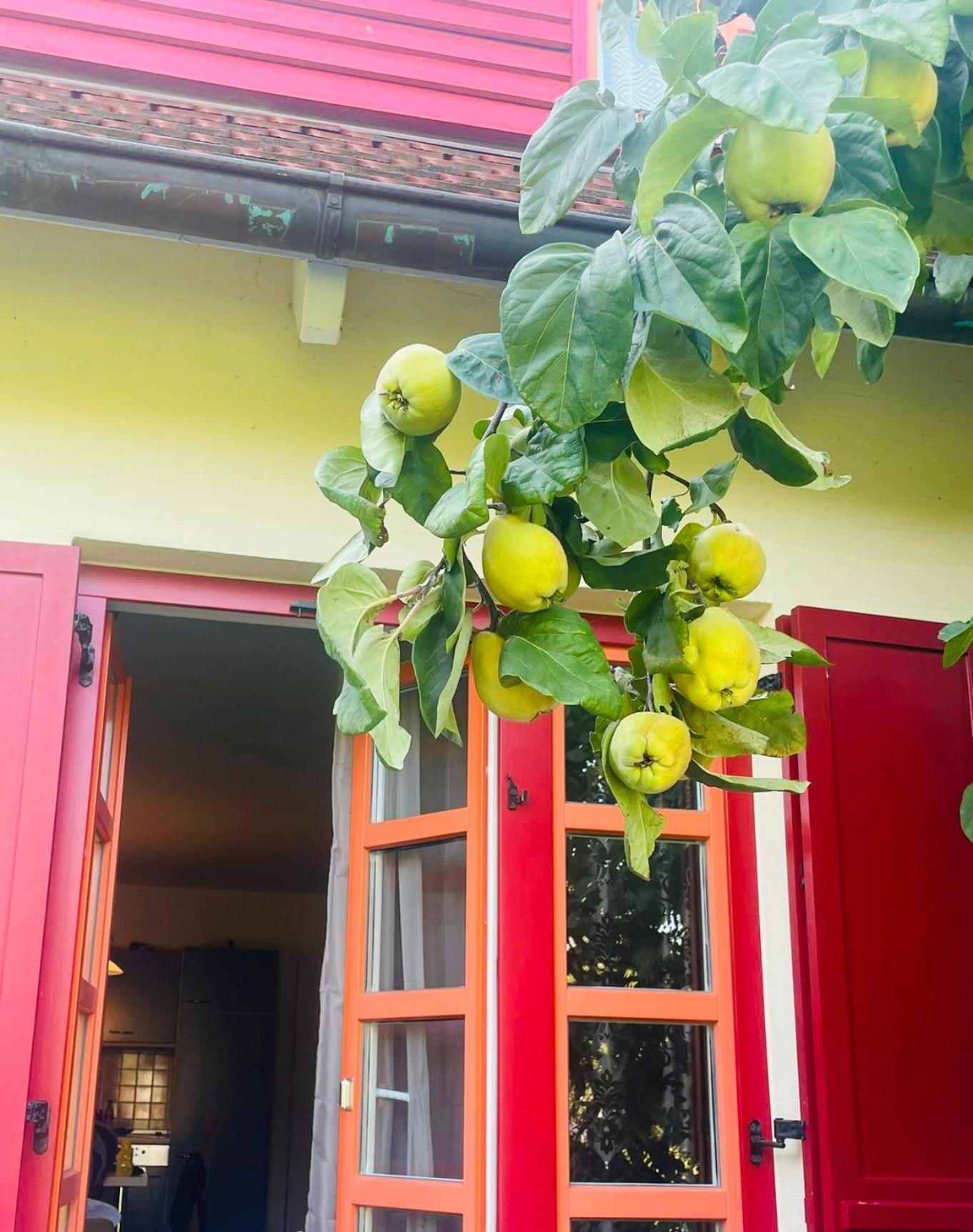 Moewenblick Bakenberg-41 Ferienwohnung Mit Terrasse, Doppelbett, Schlafsofa, Vollstaendige Komfortkueche Dranske Eksteriør billede